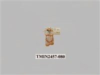 藏品(二斑叉紋苔蛾)的圖片